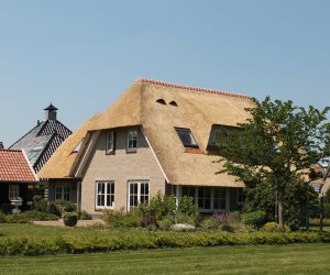 IMG_0751